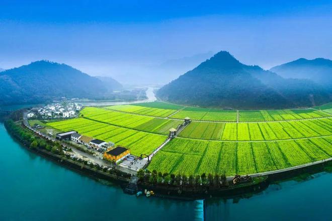 乡村振兴的新动能：新电商助力特色农产品腾飞