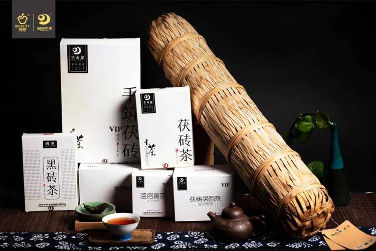 黑茶时光与健康的佳茗
