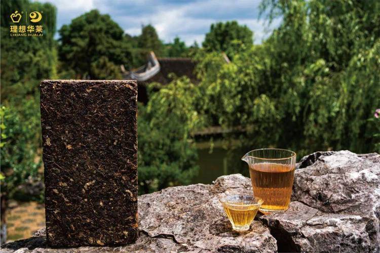 茶香沁人心，产业兴安化